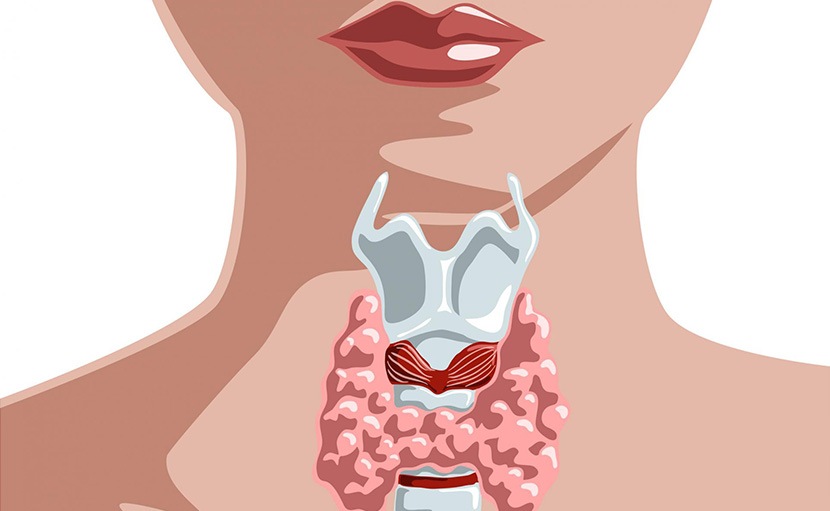 দ্রুত ওজন বাড়াতে ৫ ধরনের খাবার!